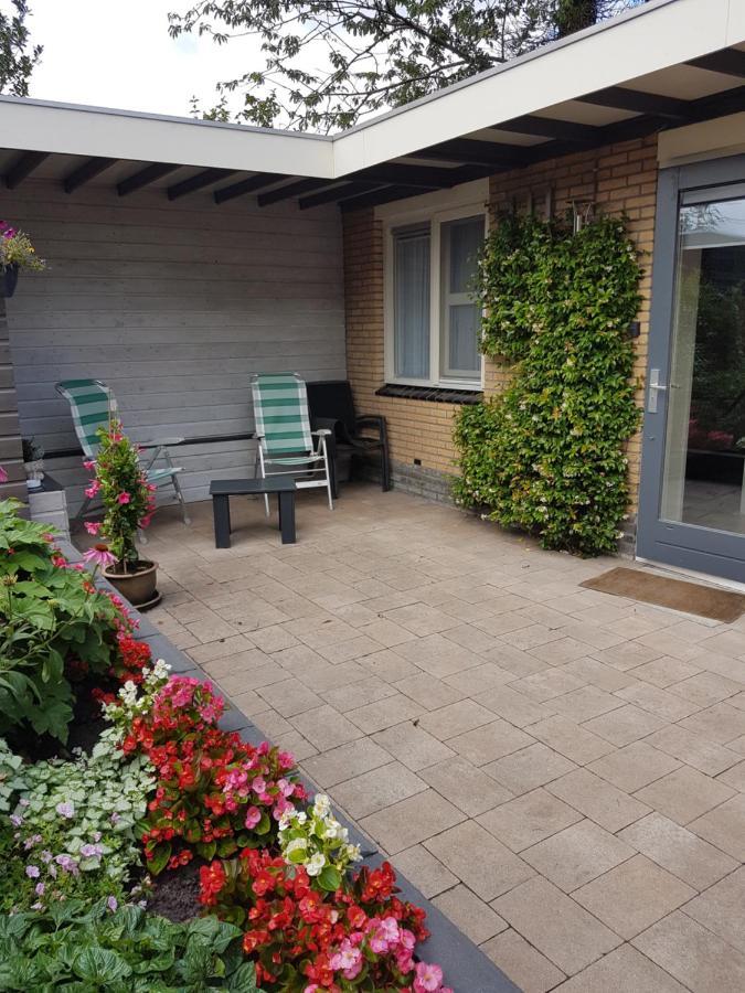 Bed and Breakfast Achter De Beukenboom Roden Zewnętrze zdjęcie